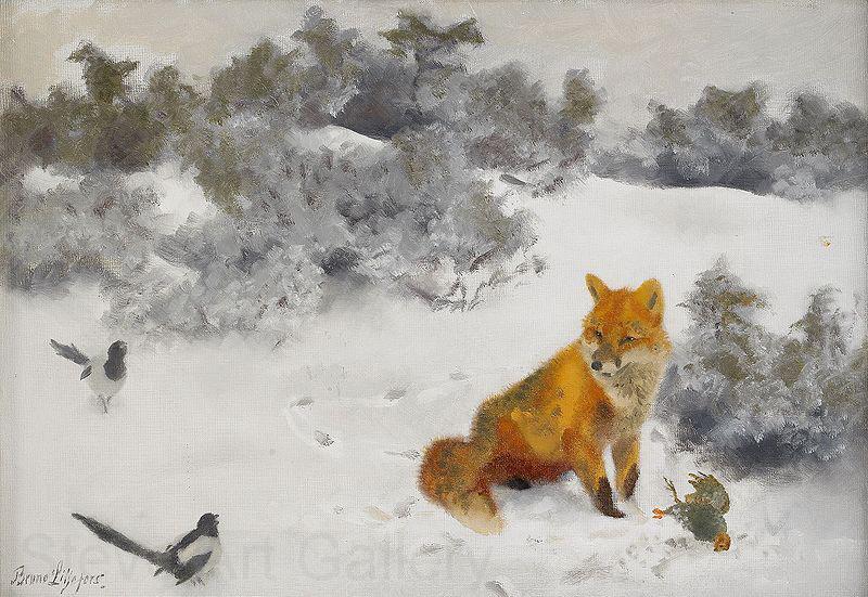 bruno liljefors Fox in Winter Landscape